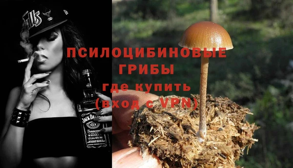 тгк Щёлкино