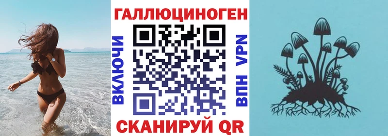 Галлюциногенные грибы Psilocybine cubensis  Раменское 