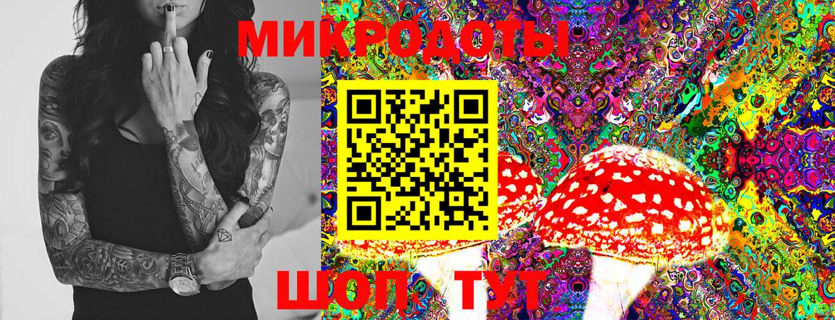 Псилоцибиновые грибы GOLDEN TEACHER Раменское